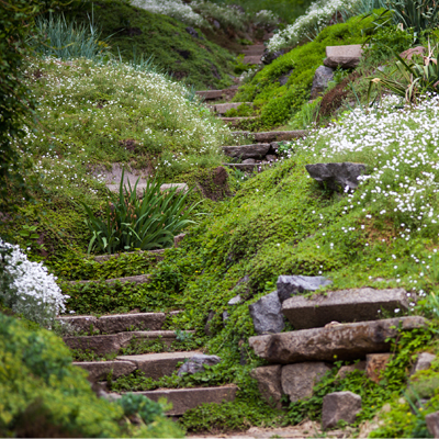 how to plan a garden on a steep slope build