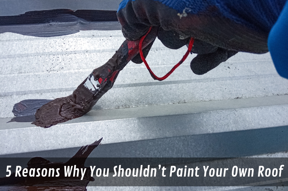 5 Reasons Why You Shouldn’t Paint Your Own Roof | BUILD