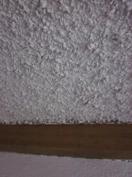 Vermiculite ceiling - popcorn ceiling