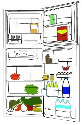 How to choose a fridge