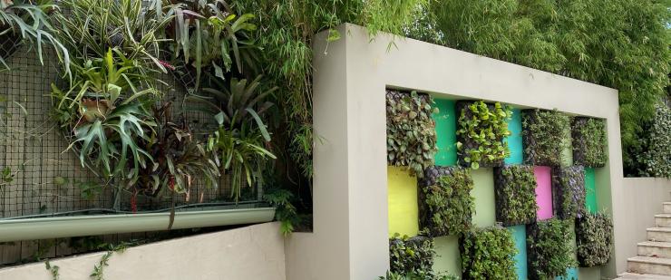 Five ways to green your home this Spring