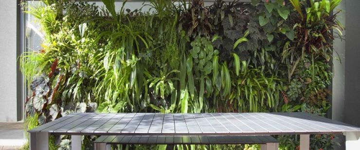 Bring nature home in a greenwall