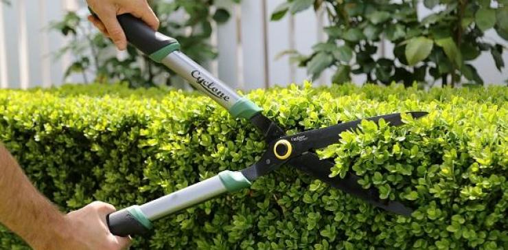 Snip your garden into shape