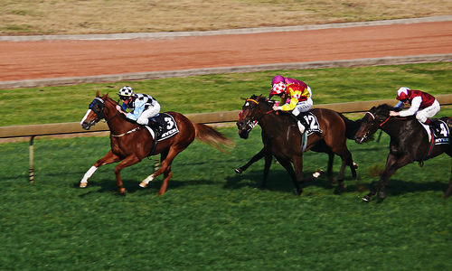 Racecourse roof repairs delayed