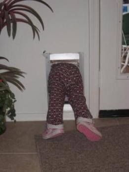 Dog door proves risky Dog door proves risky