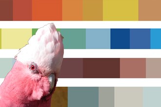Colour trends for 2014: how to paint your home Colour trends for 2014: how to paint your home