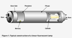 How fluorescent globes work