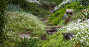 hillside-garden