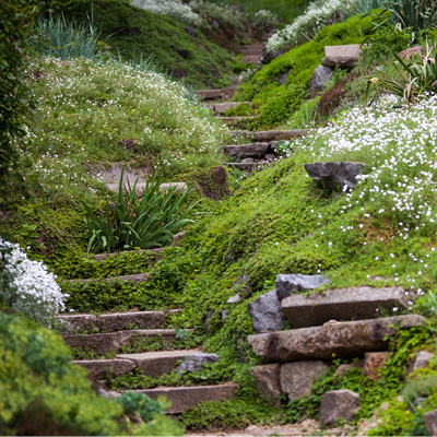 hillside-garden