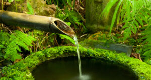 wet-gardens