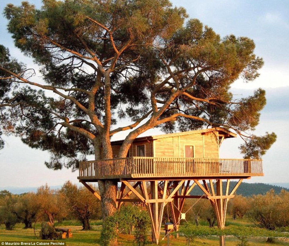 How to Build a Tree House