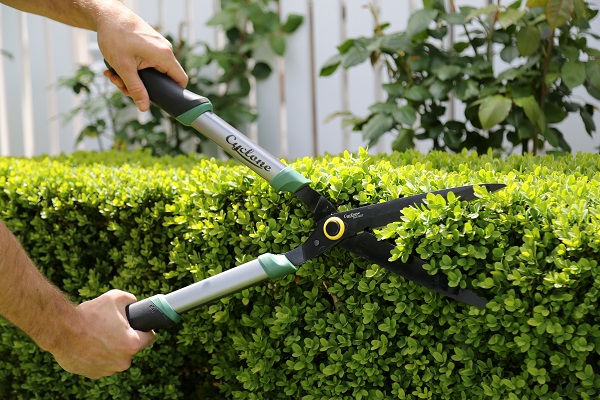 Snip your garden into shape