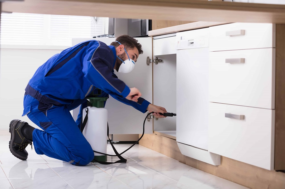 4 Reasons to Hire a Pest Control Company