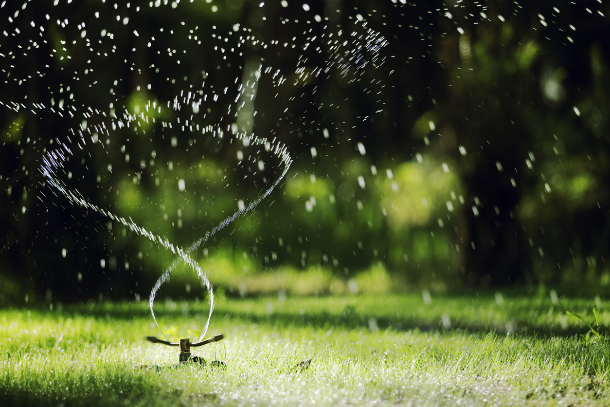 It’s thirsty work… It’s thirsty work…