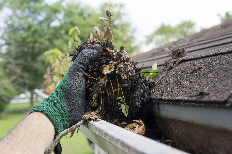 Why Is Gutter Cleaning So Important? Why Is Gutter Cleaning So Important?