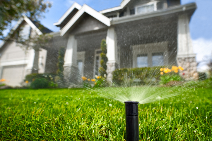 Be water-smart this summer: top tips for water conservation