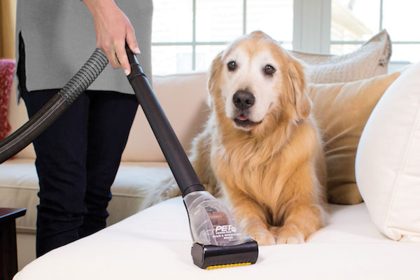 5 Tips to Keep your House Clean with Pets