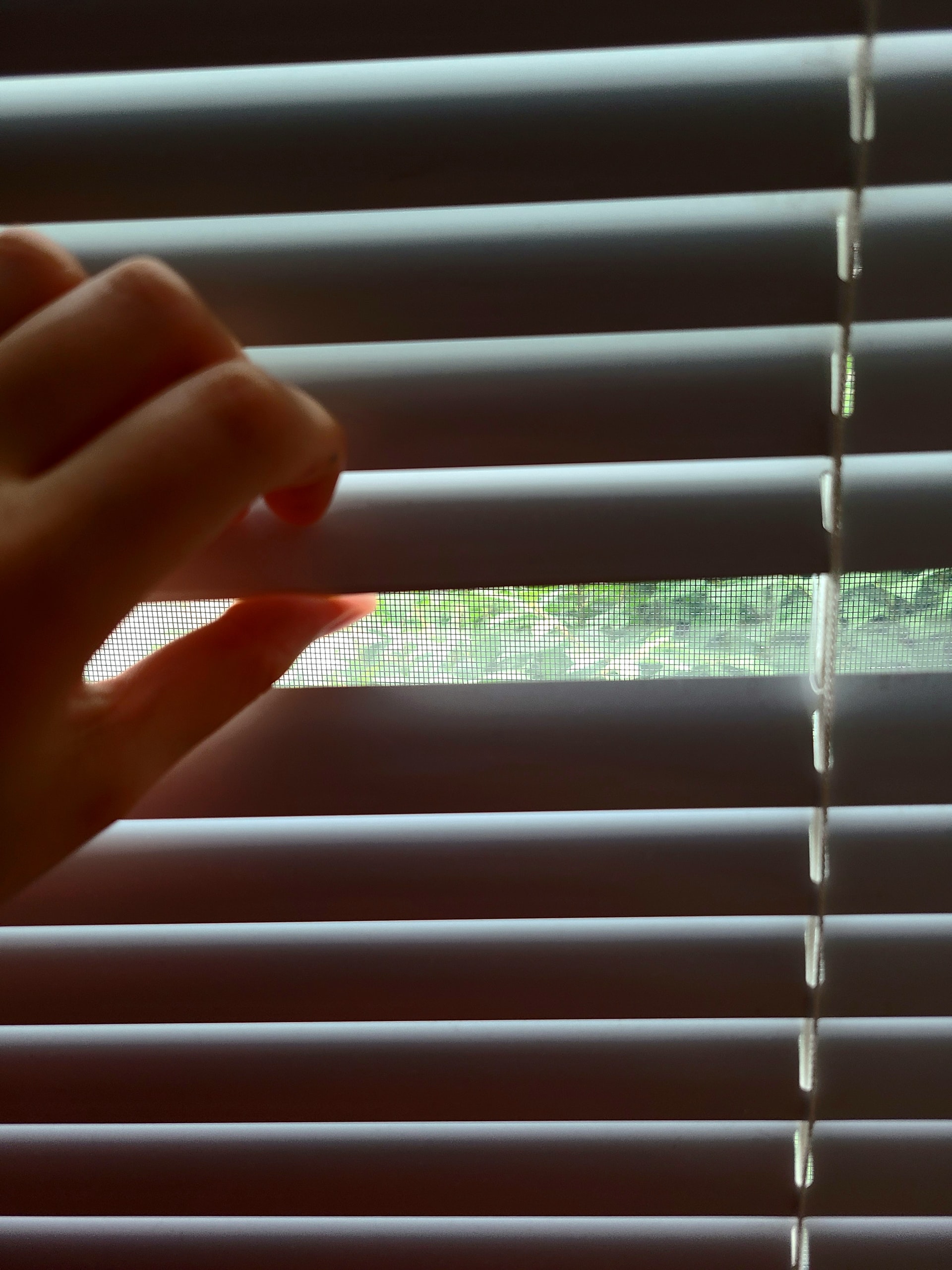 What Is the Difference Between Blinds and Shutters? What Is the Difference Between Blinds and Shutters?