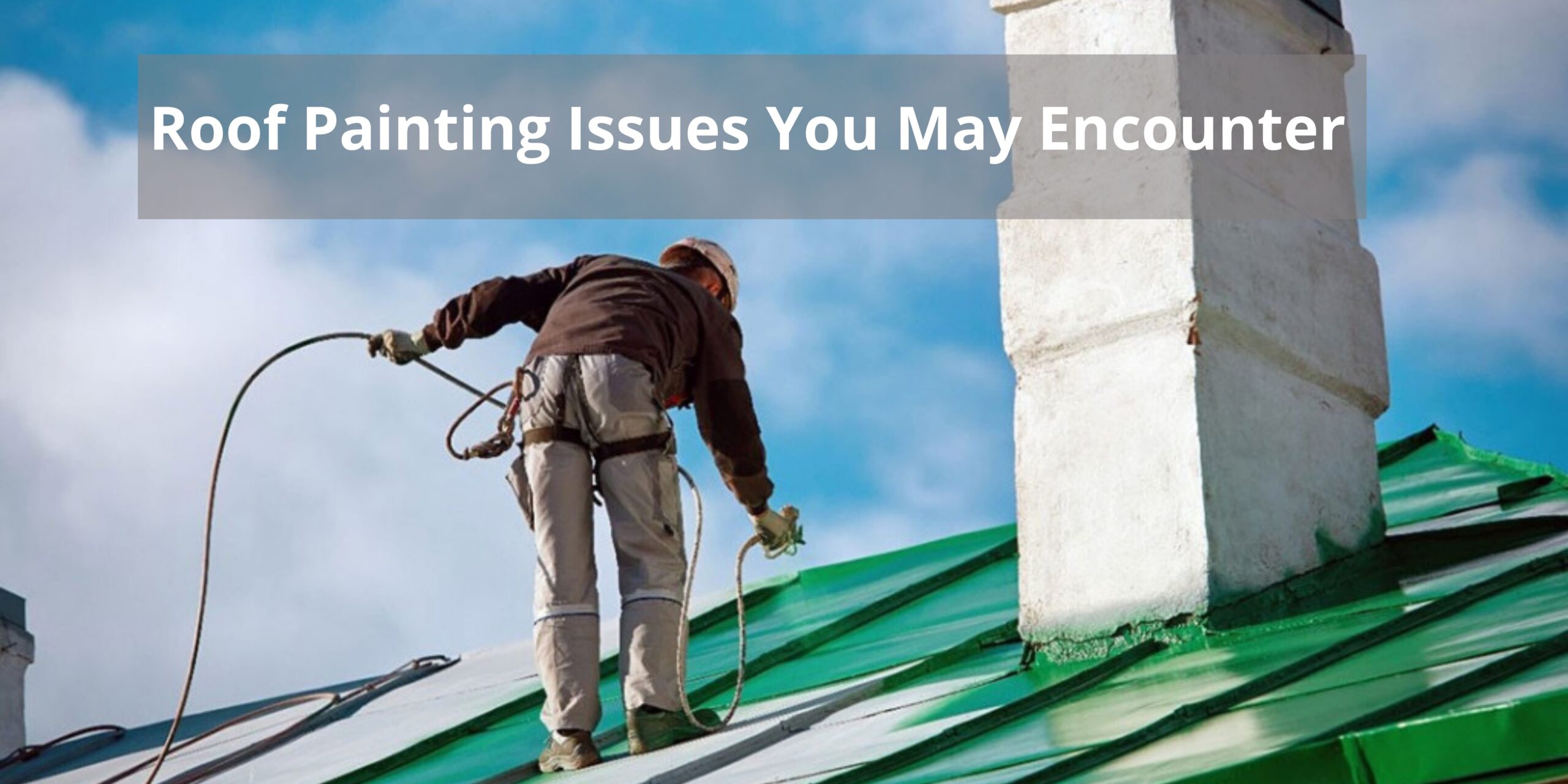 7 Common Roof Issues Roof Painters Face in Sydney