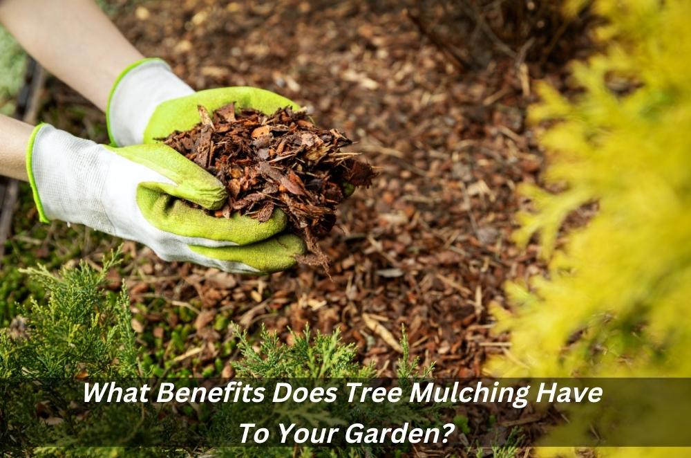 What Benefits Does Tree Mulching Have To Your Garden?