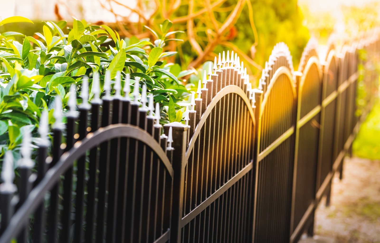 Which Fence Type Suits Your Home?