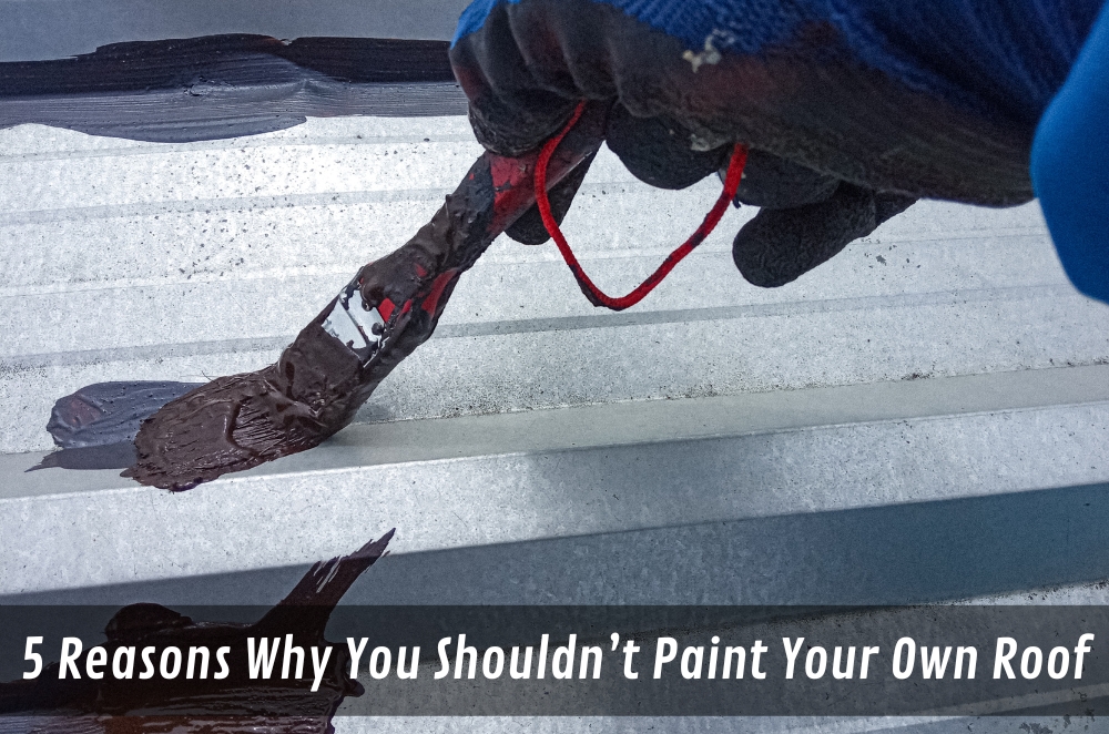 5 Reasons Why You Shouldn’t Paint Your Own Roof