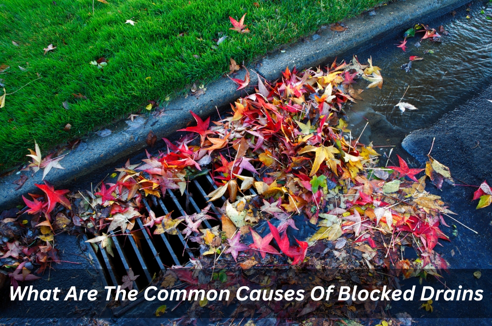 What Are The Common Causes Of Blocked Drains