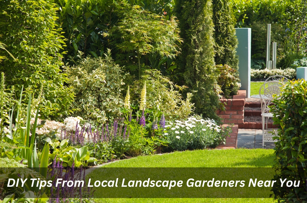 DIY Tips From Local Landscape Gardeners Near You