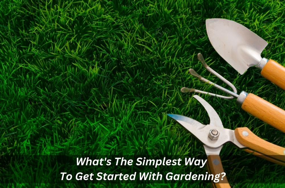 What’s The Simplest Way To Get Started With Gardening?