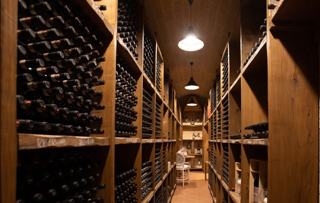 Guide for Store Wine Without a Cellar or Wine Fridge