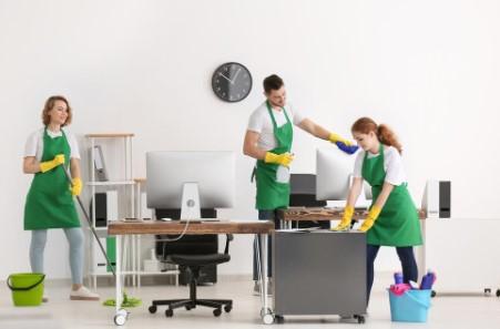 Healthy Offices, Happy Employees: How a Tidy Office Promotes Employee Wellness