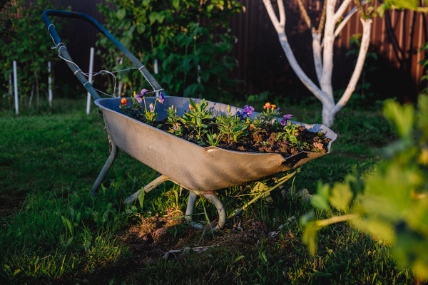 How to Mulch Your Garden: Top 5 Tips