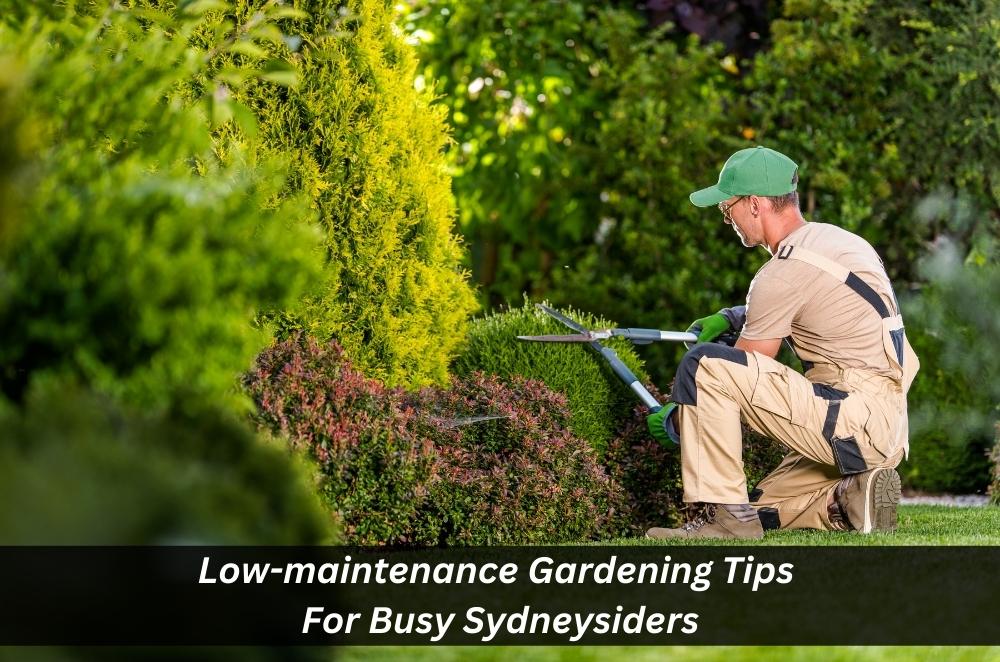 Low-maintenance Gardening Tips For Busy Sydneysiders