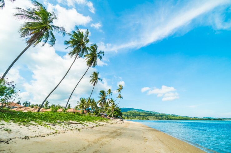 Unlocking the Allure of Hawaii: A Comprehensive Guide to Paradise Unlocking the Allure of Hawaii: A Comprehensive Guide to Paradise