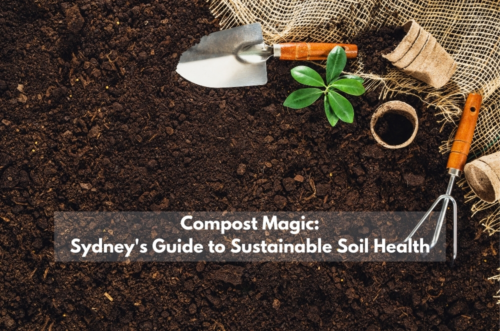 Compost Magic: Guide to Sustainable Soil Health