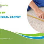 carpet_repair_point_cook_1