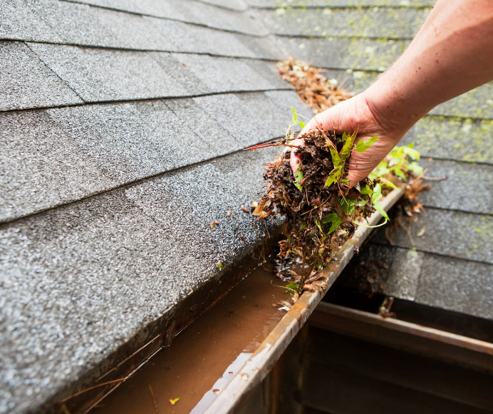 Seasonal Gutter Cleaning: How to Prepare Your Home for Every Weather