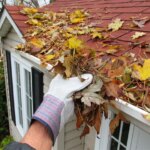 gutter_cleaning_3