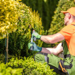 property_maintenance