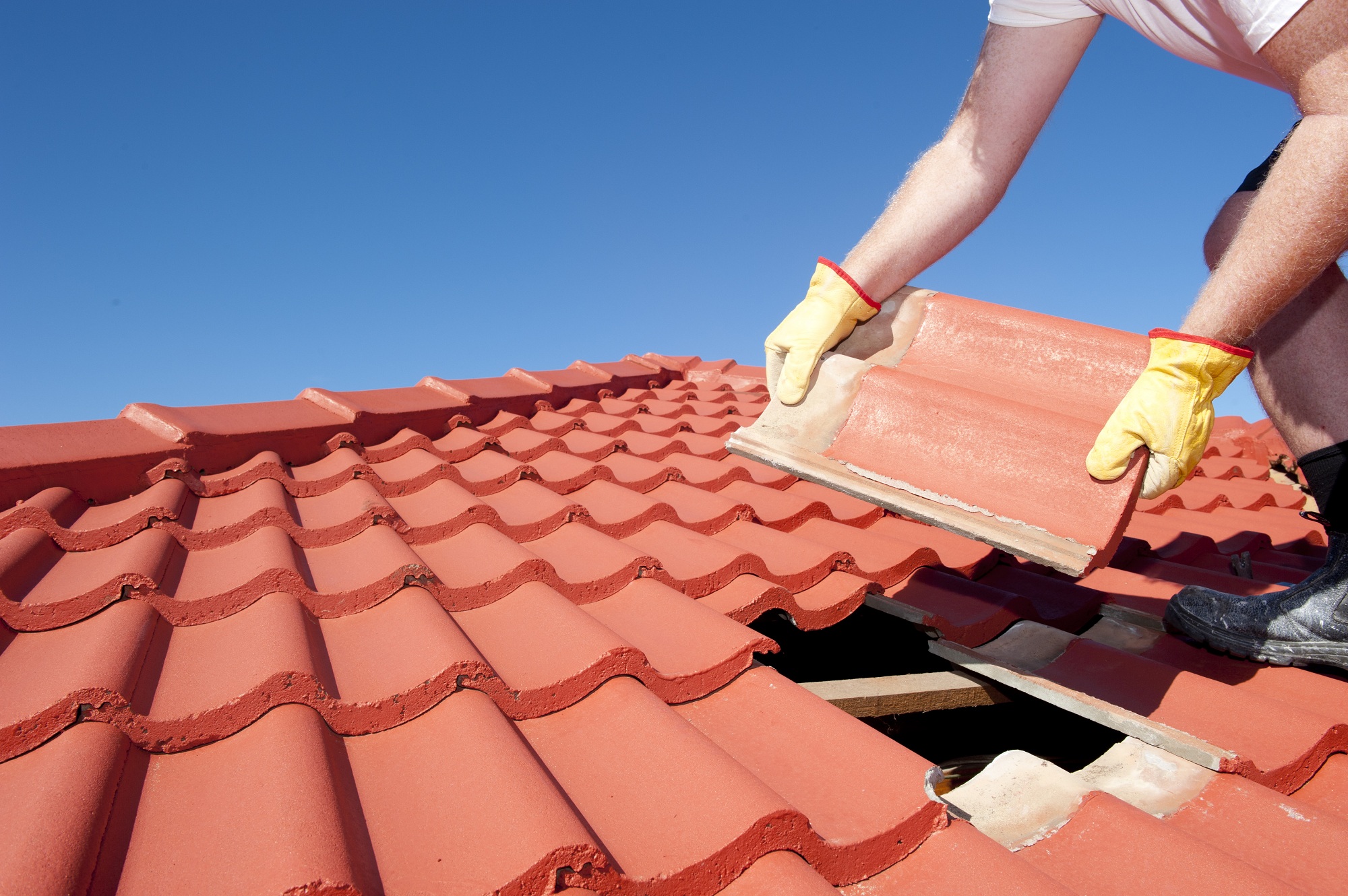 Exploring Cutting-Edge Tools for Roof Repair Services