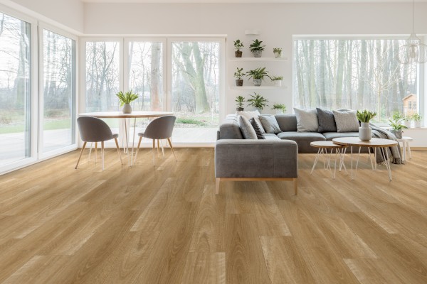 Spotted Gum
