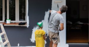 European efficiency expert says Australia is “on the right track” for home electrification