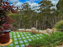 Designing for extremes: Create a backyard that survives heatwaves and storms