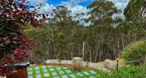 Designing for extremes: Create a backyard that survives heatwaves and storms