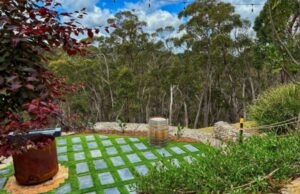 Designing for extremes: Create a backyard that survives heatwaves and storms